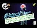 WE HAVE CANNABIS IN OUR BODIES!!!