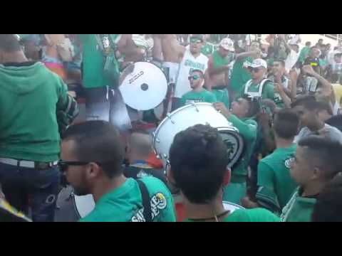 La Banda Verde Kac Coup Du Trône 