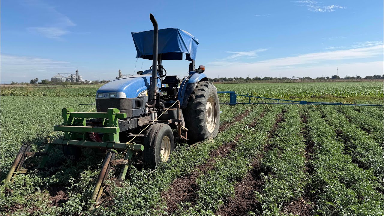 Fumigando los garbanzos !!!