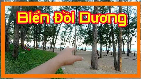 Đi biển Đồi dương Phan thiết chiều mùng Ba tết Kỷ hợi 2019 ✓ Lovely saigon