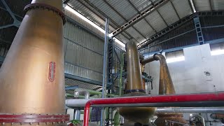 Piccadily Distillery Visit (India)