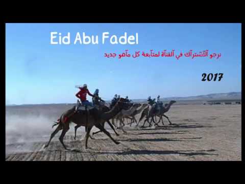 دحيه جديده حراج يوسف الصرايعه وداهش ابو بنيه ومحمد المتانين 2017