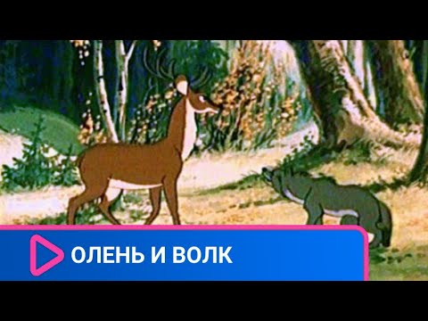 ВОЛК ОБМАНУЛ ОЛЕНЯ Олень и волк Союзмультфильм 