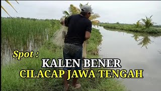 FISHING NET IN THE RIVER ‼️THE HINT OF THE MUARA DUA CILACAP SWAMP