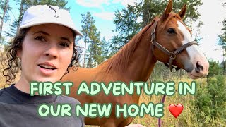 Taking My Horse For His First Walk In Bear Country