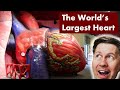 The World's Largest Heart (The Franklin Institute)