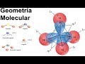 Geometría Molecular y Resonancia Ejercicios Resueltos de Química