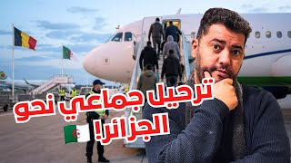 صدمة جزائري من اتفاقية ترحيل الجالية الجزائرية المقيمة في بلجيكا وإلغاء التأشيرة والوثائق