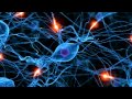 Ballet Of Neurons رقصة الخلايا العصبية Ballet Of Neurons رقصة الخلايا العصبية