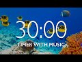 30 Minute Timer with Relaxing Music and Alarm 🎵⏰ Mp3 Song