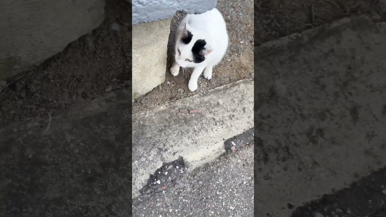 Moja kochanie  katy  totaj