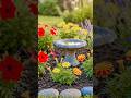 Dry Garden to Beautiful Flower Paradise 🌸🔥 | Satisfying Garden Transformation #shorts#gardeningvideo
