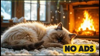 Calming Music For Cats 🎶 Gentle Melodic Patterns Helping Reduce Stress In Cat Sleep🌙Cat Piano Music