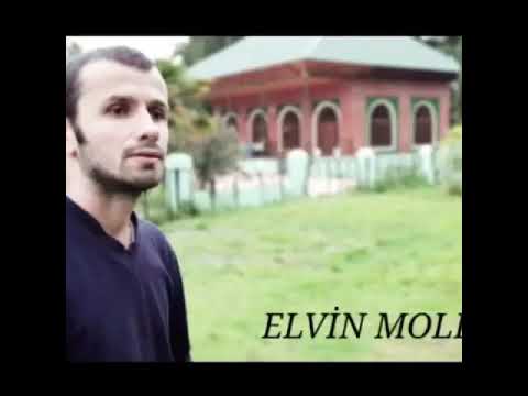 Elvin mollaoba mollaoblar