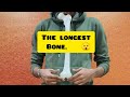 The LONGEST BONE? 😱 #shorts