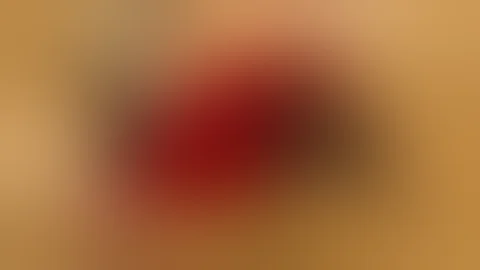 Почему бык реагирует на красный цвет. Зрение быка