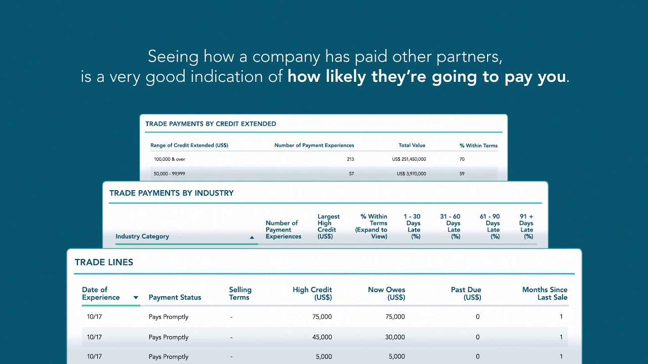 D B Credit Report Meaning