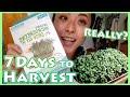 【Back to the Roots】Organic Microgreens Grow Kit / Ready to harvest in just 7days!?【Broccoli】