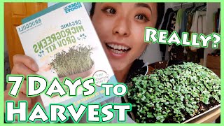 【Back to the Roots】Organic Microgreens Grow Kit / Ready to harvest in just 7days!?【Broccoli】