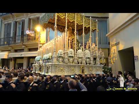 Venerable Hermandad de la Caridad en Cristo Nuestro Señor y Cofradía de Nazarenos del Santísimo Cristo de la Agonía, María Santísima de las Penas, Reina y Madre, y Santo Domingo de la Calzada