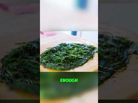 Making paper from grass? 😳