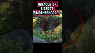 Miracle of Bigfoot Motherhood or Cheap Muppet Hoax?