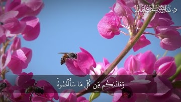 اللَّهُ الَّذِي خَلَقَ السَّمَاوَاتِ وَالْأَرْضَ | سورة إبراهيم | آية 32
