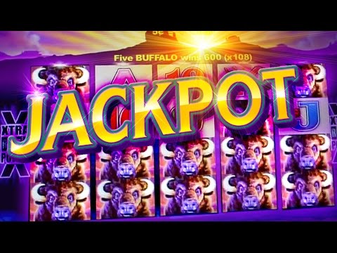 Buffalo slot machine jackpots on youtube