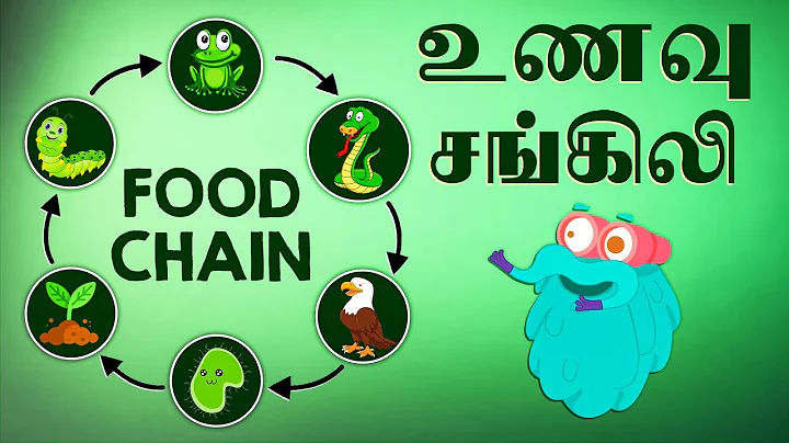 உணவு சங்கிலி | What is a Food Chain | Dr.Binocs Tamil | Best Learning Videos For Kids