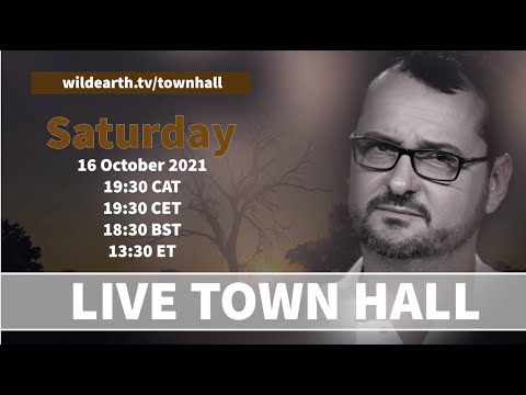 Town hall with Graham - #13 - Town hall with Graham - #13