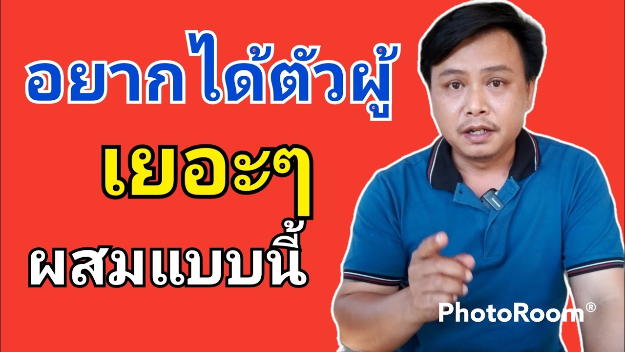 ผสมไก่แบบไหนให้ได้ตัวผู้มากกว่าตัวเมีย