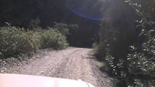 WP 20140706 003