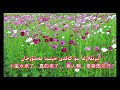 Heavenly Xinjiang: Classic Folk Songs Collection (Part 1)天籁新疆:经典民歌合集(上) 3月8日 2