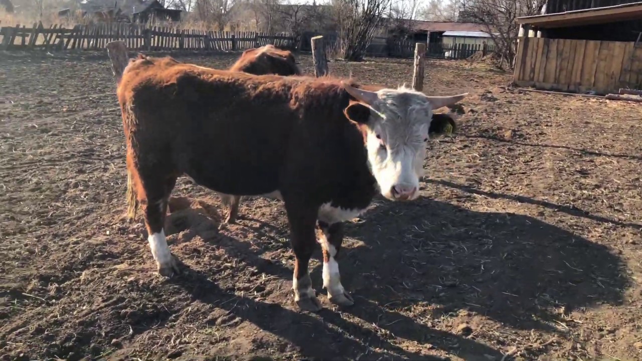 Строим забор ☝️ - YouTube