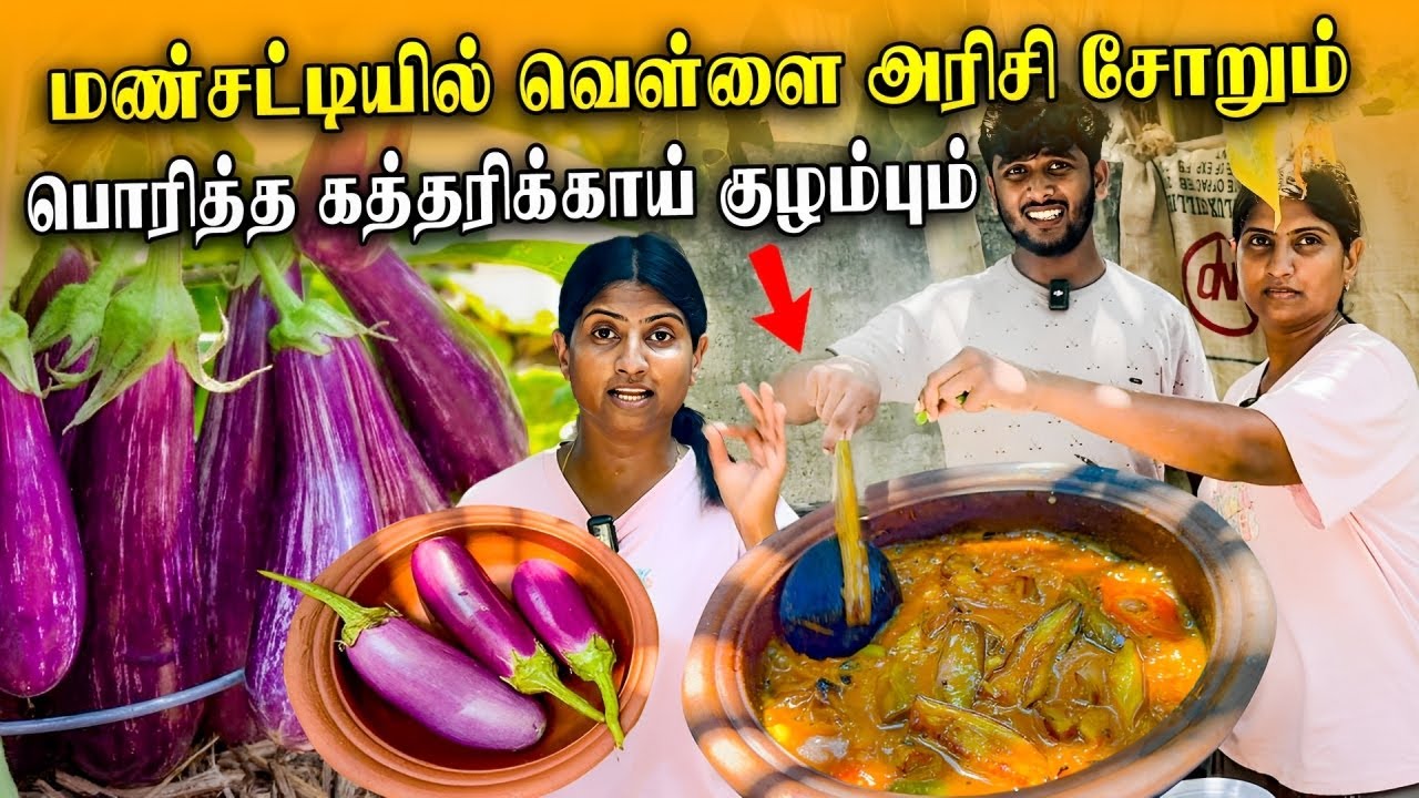 யாழ்ப்பாணத்து முறைப்படி சுவையான கத்தரிக்காய் கறி 🤤| jaffna style brinjal curry