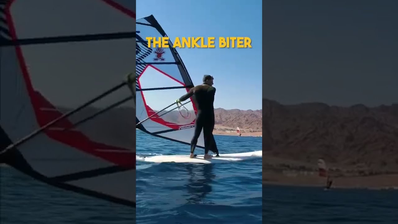 THE ANKLE BITER