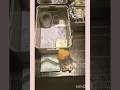 pink theme joiunaling#cutejournaling #journaling #shorts
