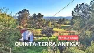Farm for sale in Central Portugal  Quinta Terra Antiga ( Castelo Branco / Fundão)
