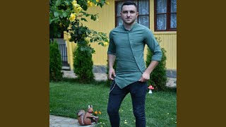 Muzica De Petrecere La Acordeon Si Voce