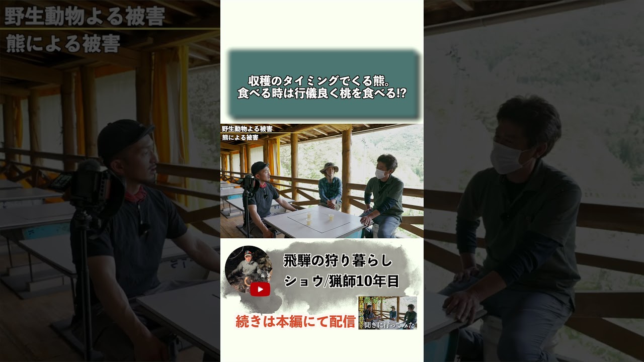 熊は座布団敷いて食べる。