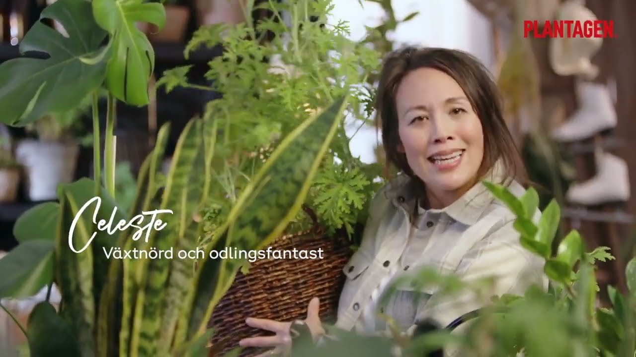 Celeste Cappelen Plantagen