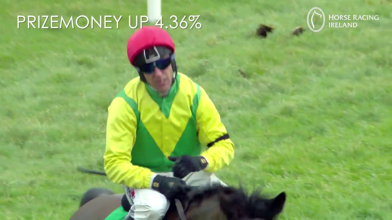 HORSE RACING IRELAND SIXMONTH STATISTICS 2018 YouTube