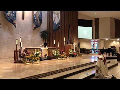 Saint Theresa Catholic School Live Stream- May 12