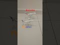 the two airlines of emirates