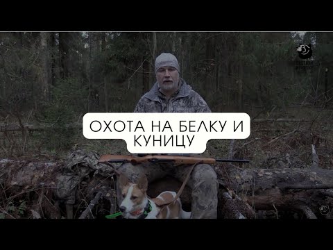 Охота на белку и куницу // В одиночку на зверя
