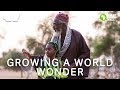Growing A World Wonder - 360 Short Documentary