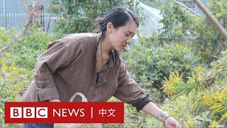 中國的千禧一代為何要回到農村 － BBC News 中文