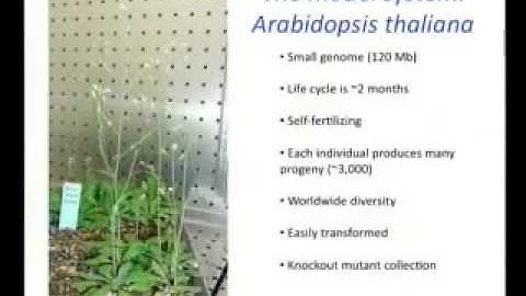 Beyond the Gene: Epigenetics Revealed