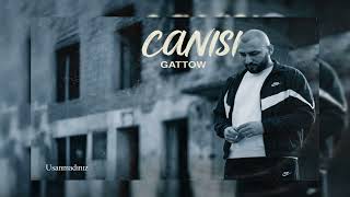 Gattow - Canisi (Lyrıcs Vıdeo)