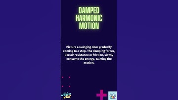 Exploring the Damped Rhythms of Harmonic Motion!